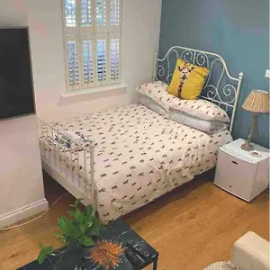 Stylish Modern Studio, Mock Georgian House, Heart Of Trendy Hackney & Accommodatie bij particulieren